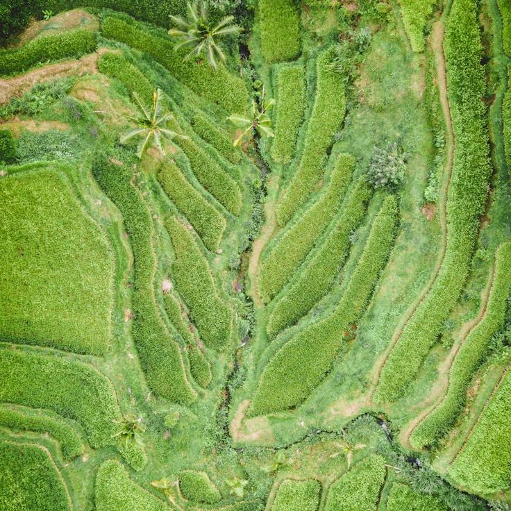 Family terraces and cafés for calm evenings in London